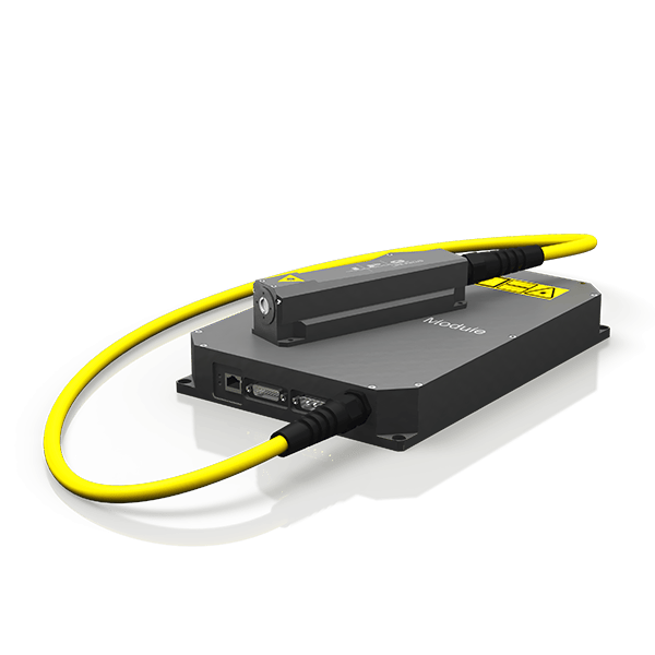 01JRANT208BA8SJ4MPNV0HPHJZ